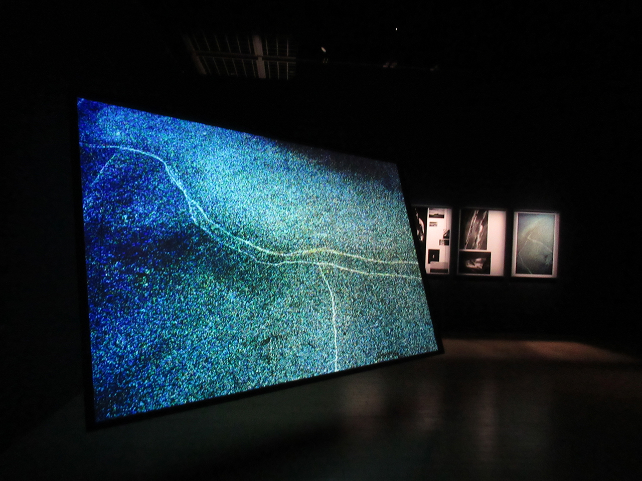 東京都写真美術館で開催された「日本の新進作家vol.18　記憶は地に沁み、風を超え」（2021年11月6日～2022年1月23日）での展示。「砂の下の鯨」シリーズの13点で構成